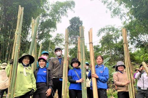 Quảng Nam: 'Bóng hồng' thanh niên giúp dân vùng biên làm nhà