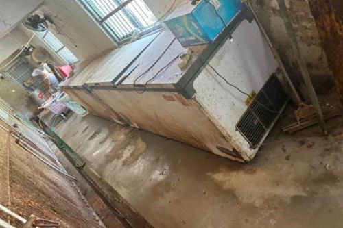 Xác hổ trong tủ lạnh tại công viên Trung Quốc