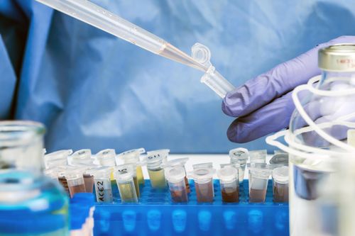 Mỹ nghi virus cúm gia cầm xuất hiện trong nước thải