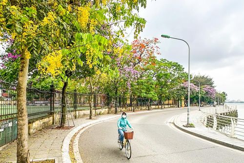 Ngắm mùa hoa tháng 5 khoe sắc tại Hà Nội