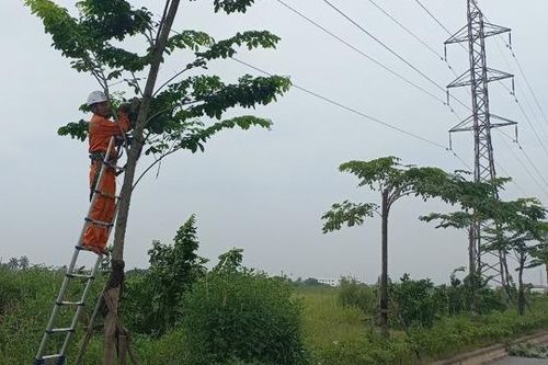 Thái Bình: bảo đảm cung ứng điện trong thời gian cao điểm năm 2024