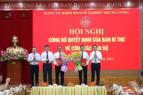 Đảng ủy Khối Doanh nghiệp Trung ương: Công bố quyết định của Ban Bí thư về công tác cán bộ