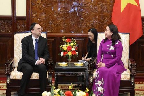Quyền Chủ tịch nước Võ Thị Ánh Xuân tiếp các Đại sứ trình Quốc thư