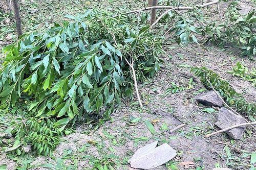 Quảng Nam điều tra, làm rõ 2 vụ nổ làm 2 người thiệt mạng