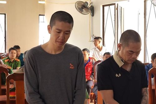 Cặp đôi trộm cắp hầu tòa
