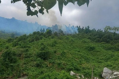 Kịp thời dập tắt đám cháy rừng tại Hòa Vang, Đà Nẵng