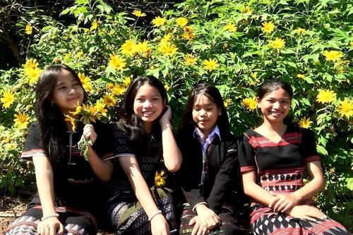 Dưới bóng hoa biên giới