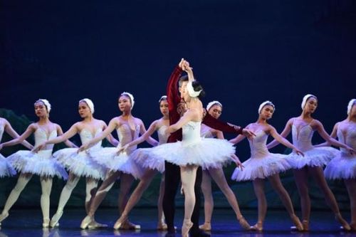Kiệt tác ballet 'Hồ thiên nga' trở lại với diện mạo mới