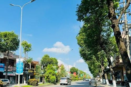 Quảng Ngãi báo cáo gì về các dự án cây xanh sau yêu cầu của cơ quan điều tra Bộ Công an?