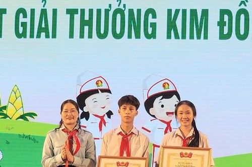 Bình Định tuyên dương thiếu nhi có thành tích xuất sắc