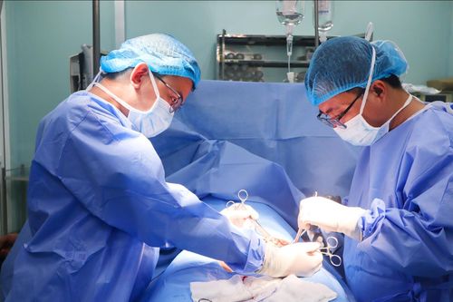 Hy hữu: Người đàn ông bị lợn cắn rách cơ quan sinh dục