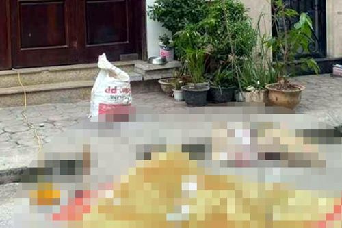 Thợ sửa nhà ở Hà Nội rơi từ tầng 5 xuống đất tử vong
