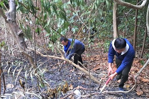 Cháy rừng ở Đà Nẵng, 200 người tham gia dập lửa