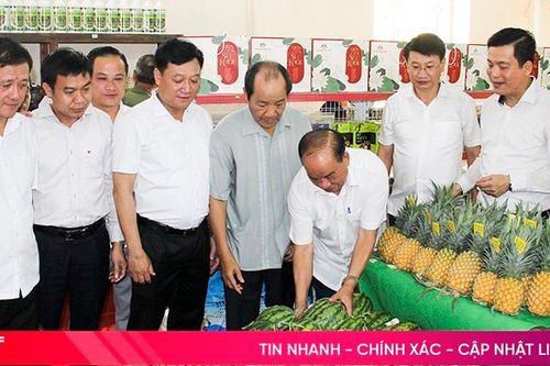 Thúc đẩy phát triển các mô hình sản xuất nông nghiệp hữu cơ ở Đức Thọ