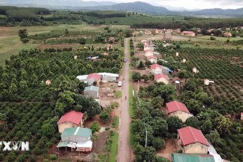 Vùng dân tộc thiểu số tại tỉnh Kon Tum vươn mình khởi sắc