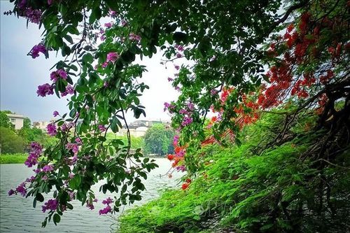 Đẹp đến nao lòng, Hà Nội 'mùa hoa tháng 5'