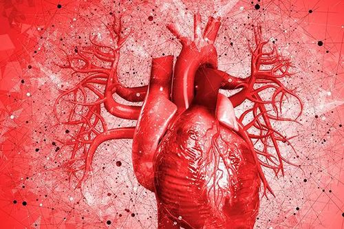 Bệnh tim mạch khiến 10.000 người châu Âu tử vong mỗi ngày