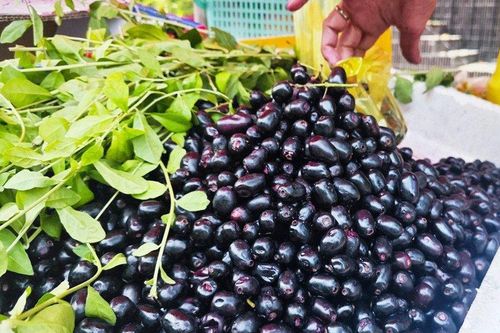 Đặc sản mùa hè từ loại quả xưa không ai ngó ngàng, giờ bao người thích mê