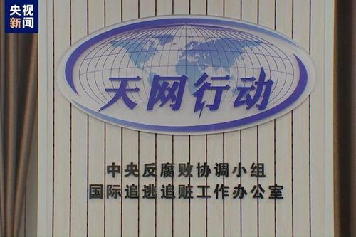 Chiến dịch 'Săn cáo' của Trung Quốc: Hơn 9.000 nghi phạm tham nhũng sa 'Thiên võng'