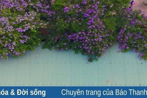 Tình anh