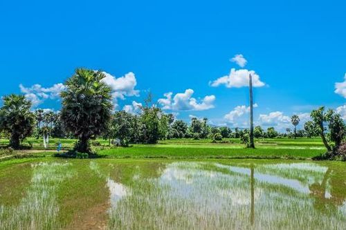 Quỹ Mekong Enterprise Fund IV rót 5 triệu USD vào HUSK