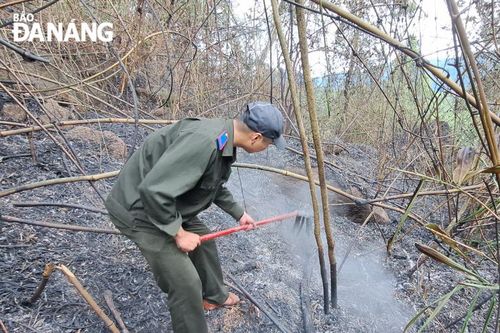 Kịp thời dập tắt cháy rừng tại xã Hòa Phú