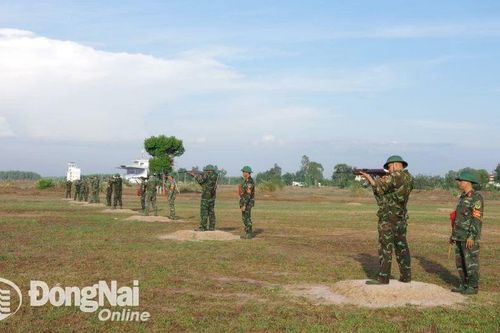 Khắp nơi trong tỉnh ngày 15-5-2024