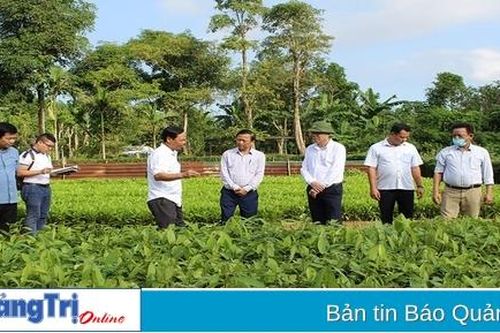 Phát triển hệ sinh thái khởi nghiệp và đổi mới sáng tạo