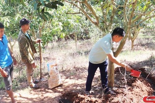 Hướng dẫn nhân dân chuyển đổi sản xuất, nâng cao thu nhập