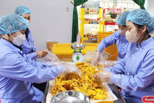 Thị trường tiêu thụ nông sản Sơn La khởi sắc