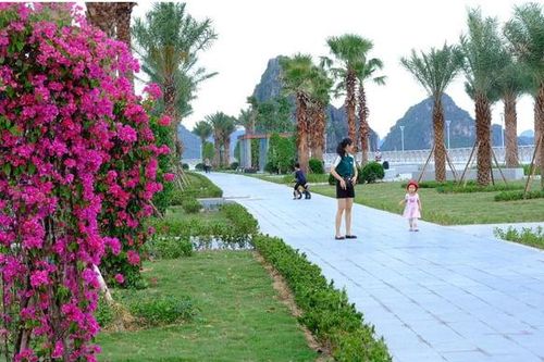 Bộ Công an yêu cầu Quảng Ninh cung cấp tài liệu dự án cây xanh