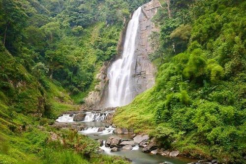 Tour mới lạ chờ đón du khách trong Tuần lễ vàng Du lịch Lâm Đồng