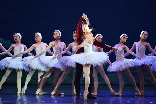 Đưa ballet Hồ Thiên Nga trở lại Việt Nam