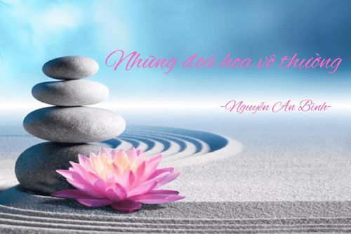 Đóa hoa vô thường