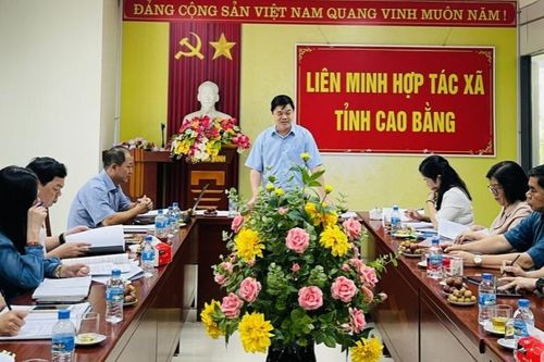 Ban Kinh tế - Ngân sách HĐND tỉnh giám sát tại Liên minh Hợp tác xã
