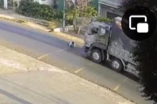 Điều tra nguyên nhân một người đàn ông nghi lao vào xe tải tử vong