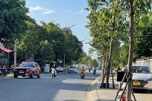 Quảng Ngãi: Báo cáo việc thực hiện 13 dự án cây xanh khoảng 76,5 tỷ đồng