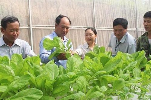 Nông dân Gia Lâm tích cực xây dựng tổ hội nghề nghiệp