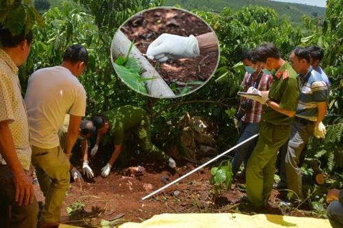 Hành trình lần theo sợi tóc vương trên lá