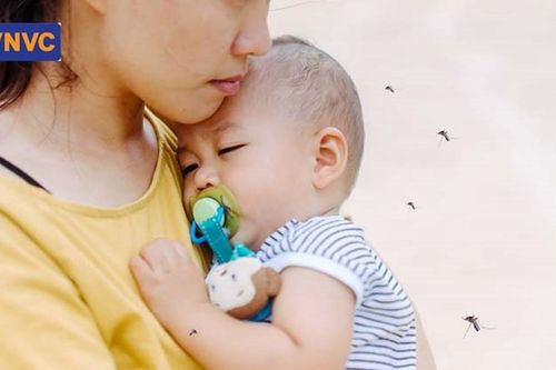 Bộ Y tế chính thức cấp phép vaccine phòng sốt xuất huyết, zona thần kinh, phế cầu 23