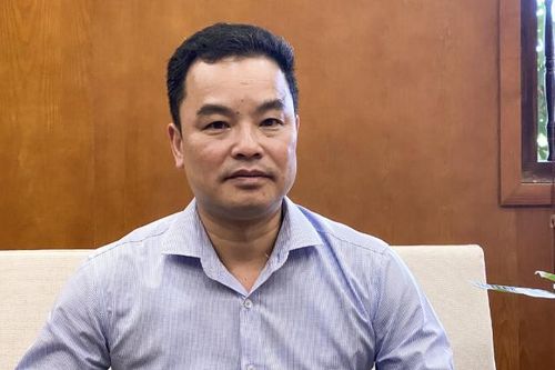 Tạm giữ khẩn cấp Giám đốc Khu di tích lịch sử Đền Hùng