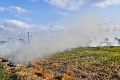 Người đi đường 'cay mắt' vì những cột khói mịt mù bủa vây