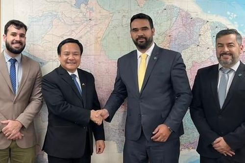 Việt Nam luôn sát cánh cùng Brazil