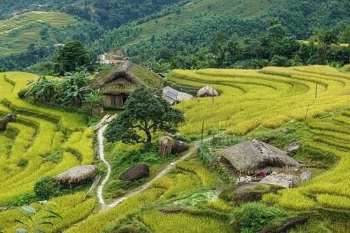 Khuổi My - 'Trạm dừng bình yên' bên dãy Tây Côn Lĩnh