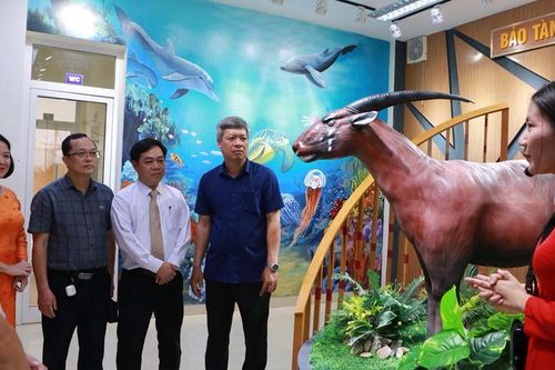 Quảng Nam xây dựng bảo tàng số về đa dạng sinh học