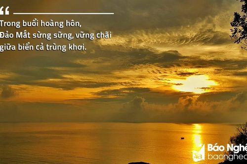 Sẽ thành lập Khu bảo tồn biển Hòn Ngư - Đảo Mắt rộng 3.000 ha tại Nghệ An