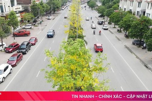 Rực rỡ sắc hoa trên các tuyến đường ở thành phố Hà Tĩnh