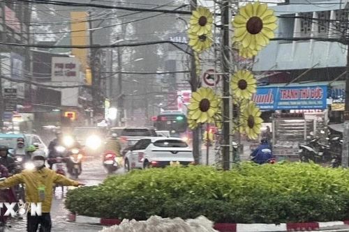 TP Hồ Chí Minh: Lý giải nguyên nhân khu vực chợ Thủ Đức ngập sâu sau mưa lớn