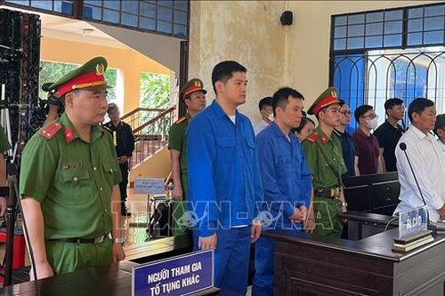 Xét xử Phó Giám đốc Công ty Thành Bưởi và lái xe gây tai nạn làm 5 người tử vong