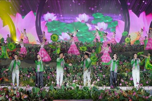 Rạng ngời sắc sen Đồng Tháp